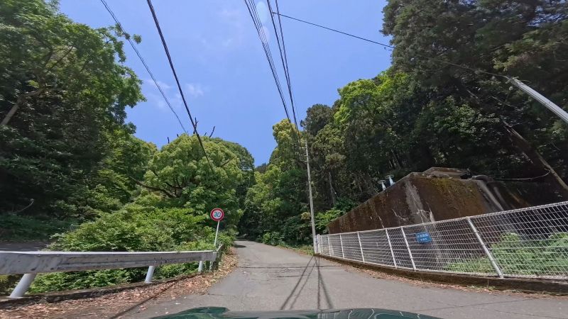 頼朝ライン